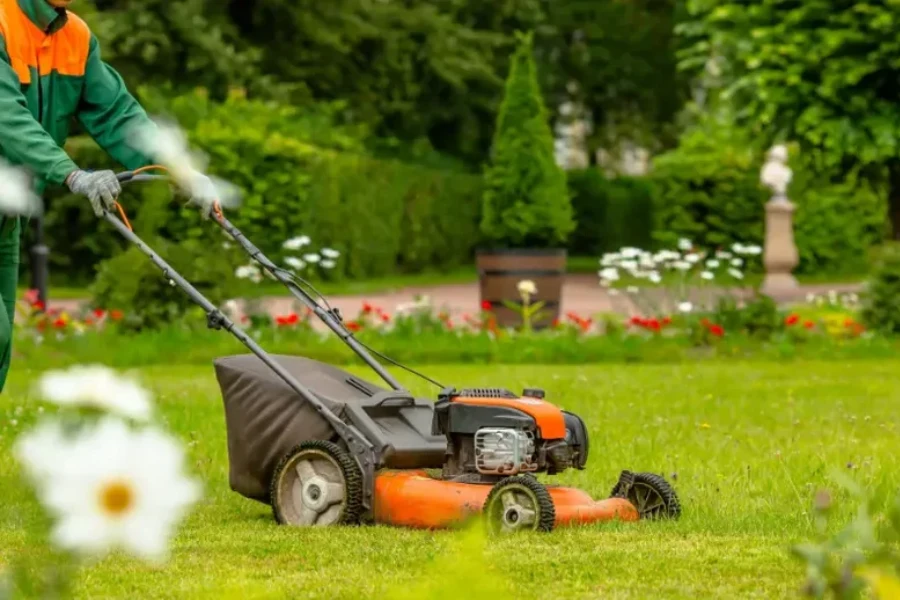 Excellent Lawn Maintenance Wirtz VA Excellent Lawn Maintenance Wirtz VA