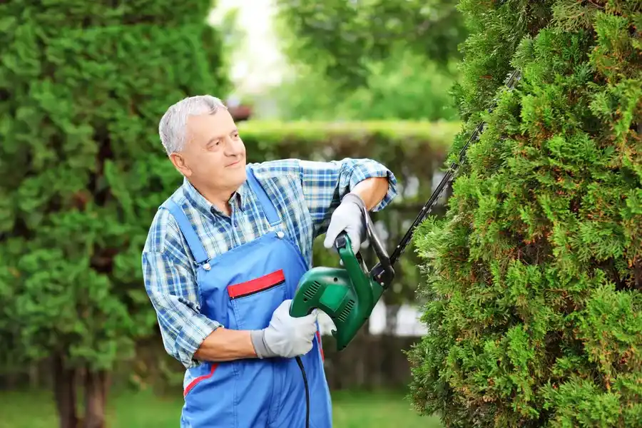 Expert Bush Trimming Wirtz VA Expert Bush Trimming Wirtz VA